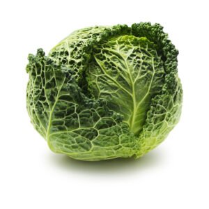 Savoy Cabbage