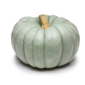 Blue Doll Pumpkin