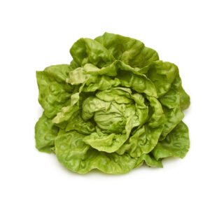 Boston Lettuce